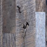 Antique oak hardwood flooring with original texture.